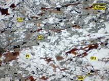 Thin section of an amphibolite with associated paragneiss